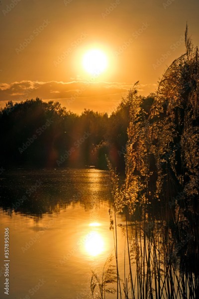 Wunschmotiv: Sonnenuntergang am Waldsee. #357895306