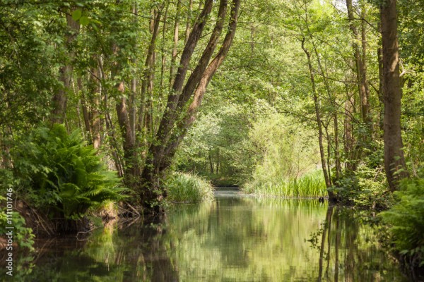 Wunschmotiv: Spreewald #111101746